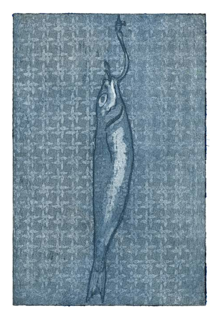 Sardine (study) - Greetings card