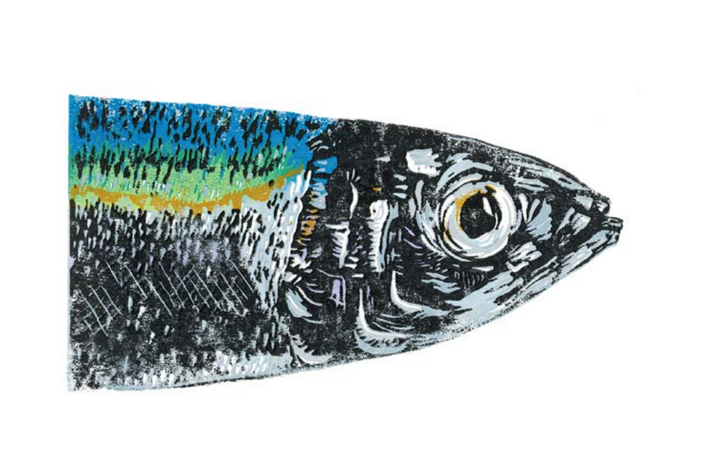 Mackerel - Greetings Card