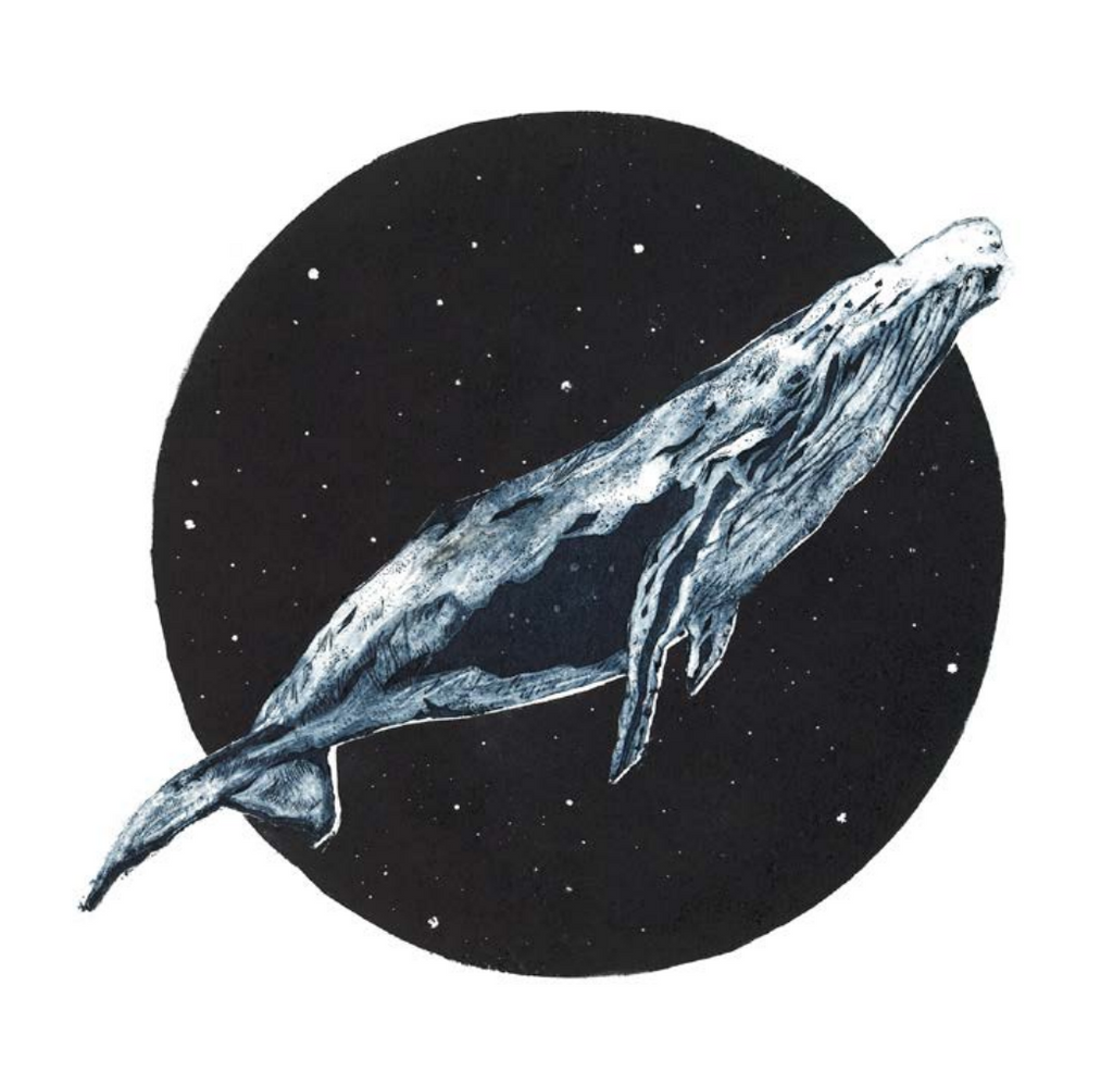 Humpback whale (Megaptera novaeangliae) - Greetings Card