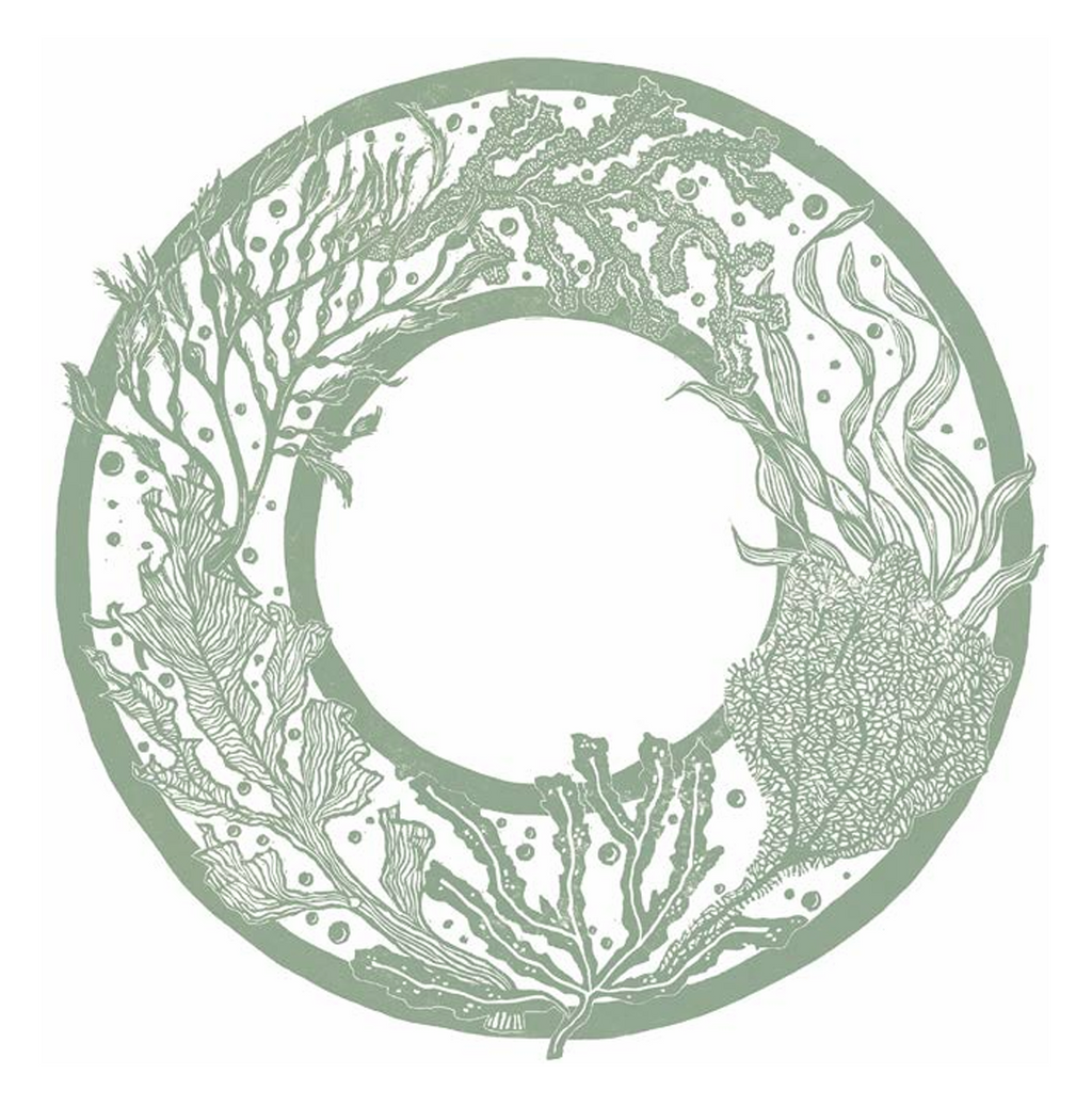 Seaweed Garland (greeting card)