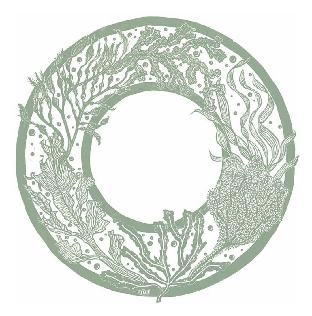 Seaweed Garland (greeting card)