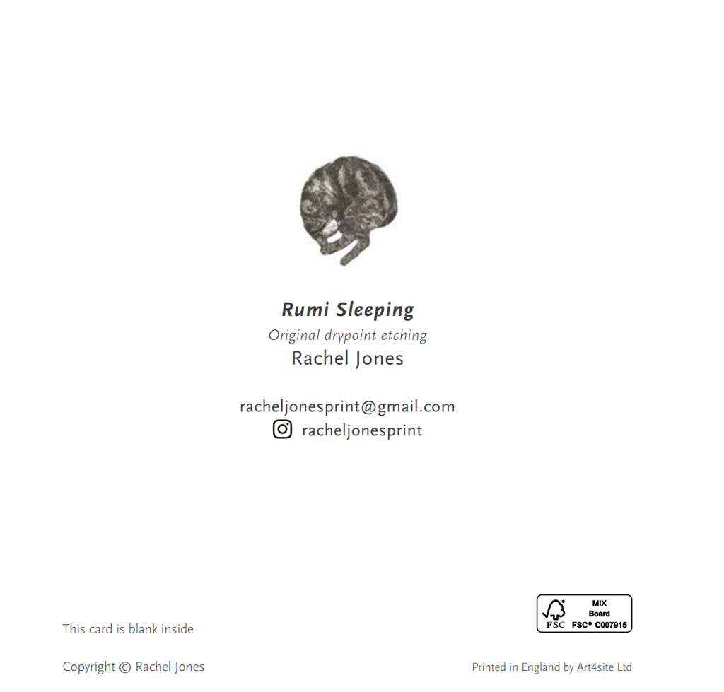 Rumi sleeping (cat) - Greetings Card
