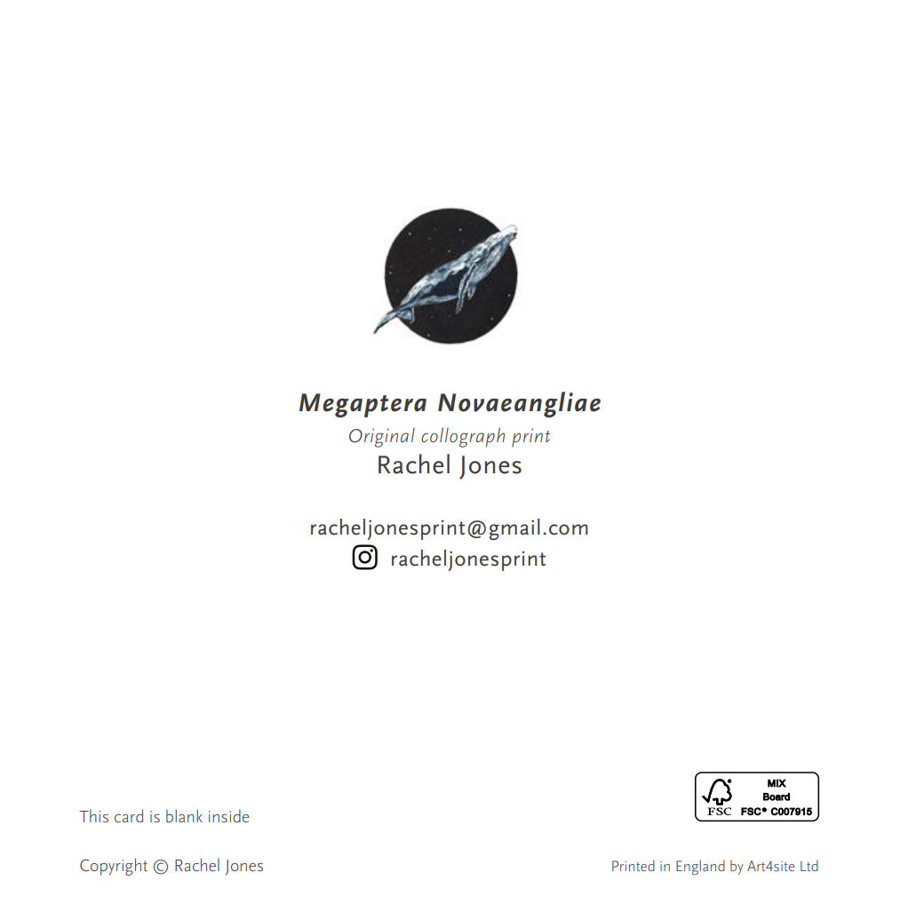 Humpback whale (Megaptera novaeangliae) - Greetings Card