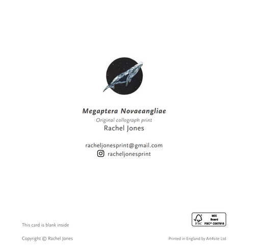 Humpback whale (Megaptera novaeangliae) - Greetings Card