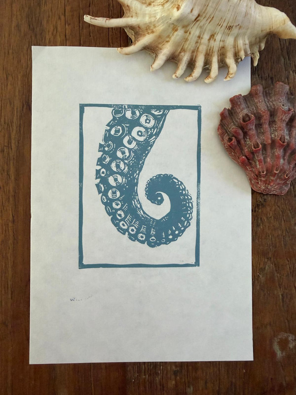 PREORDER Creatures of the Shore collection