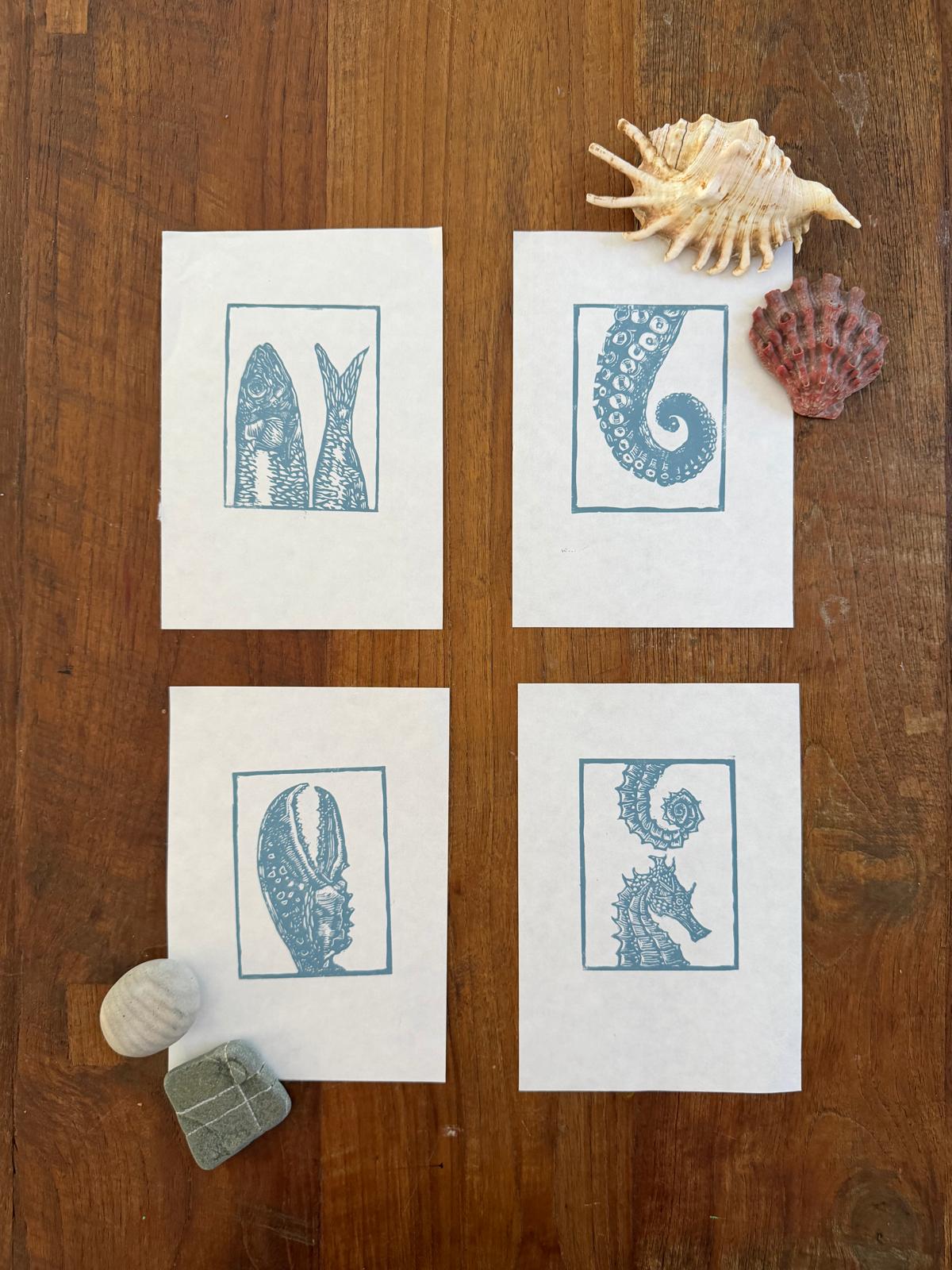 PREORDER Creatures of the Shore collection