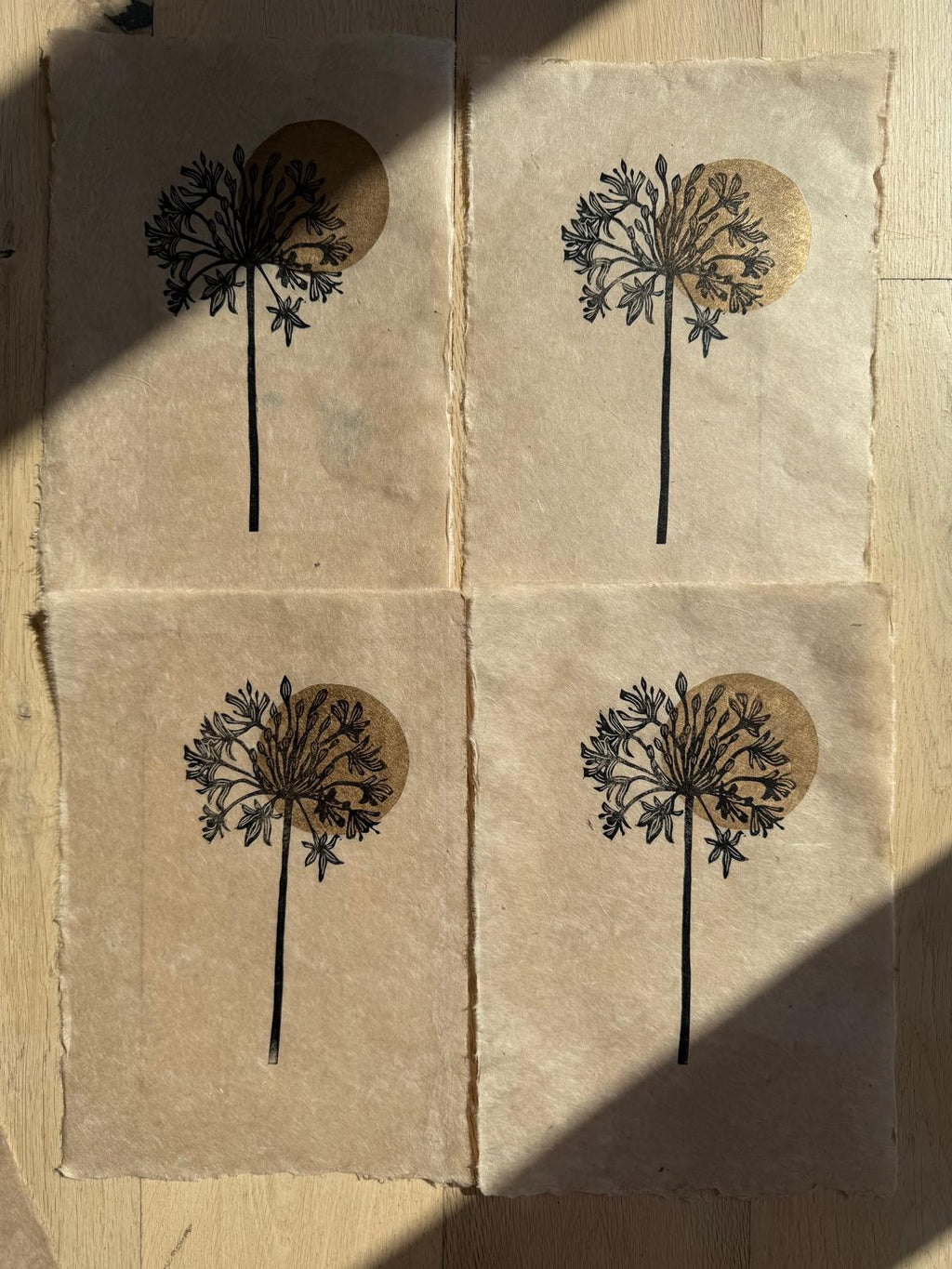PREORDER Agapanthus flower linocut print