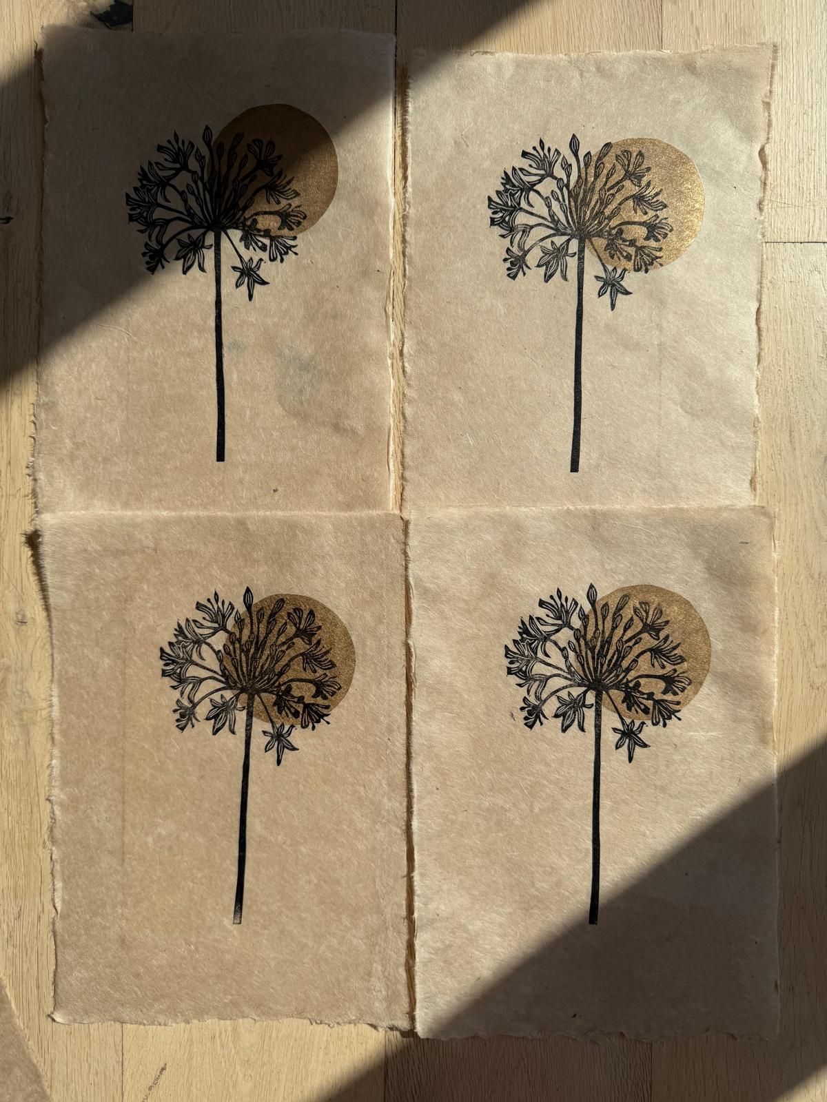 PREORDER Agapanthus flower linocut print