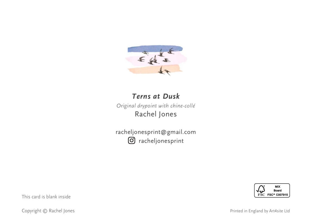 Terns at Dusk greetings card