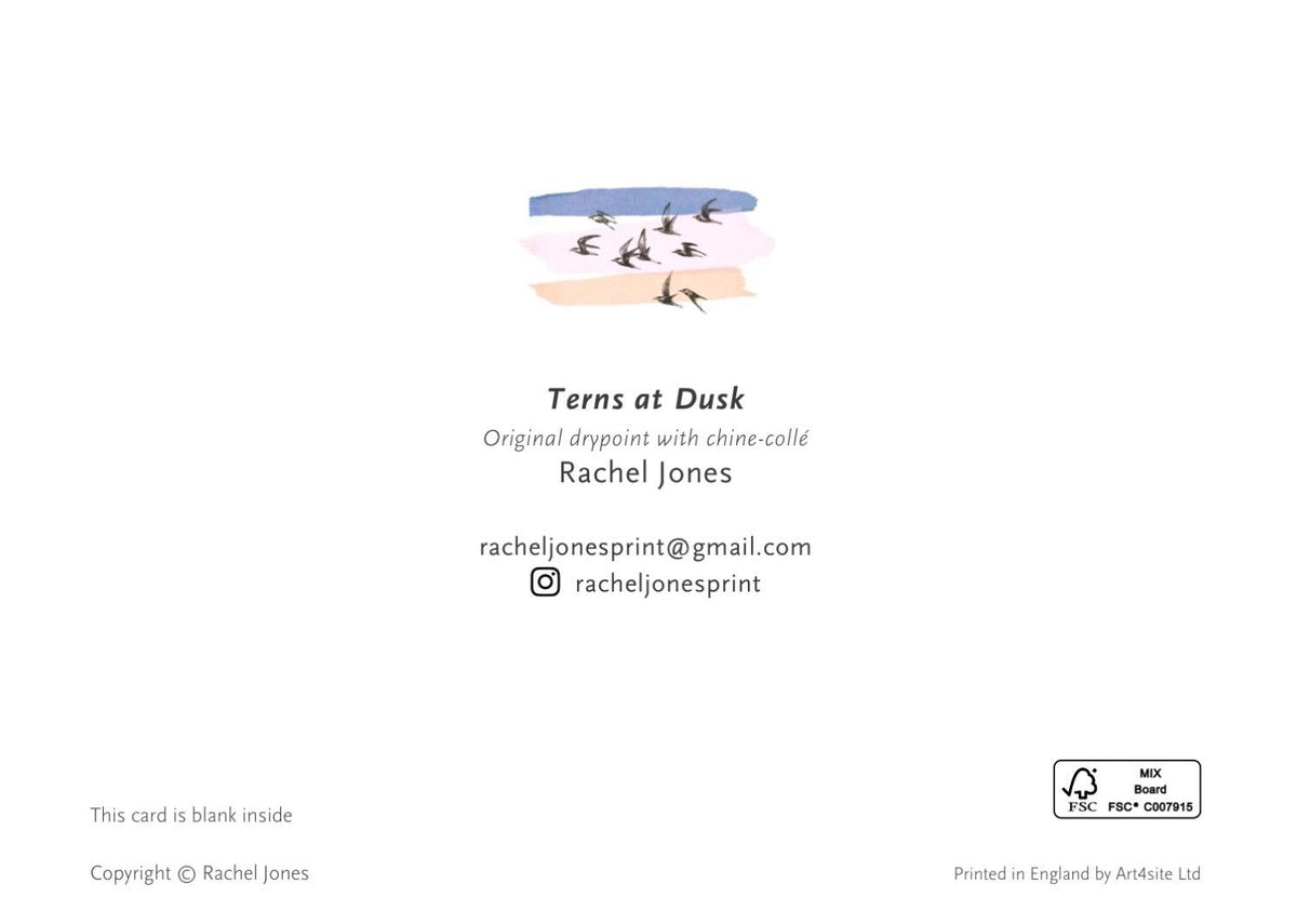Terns at Dusk greetings card