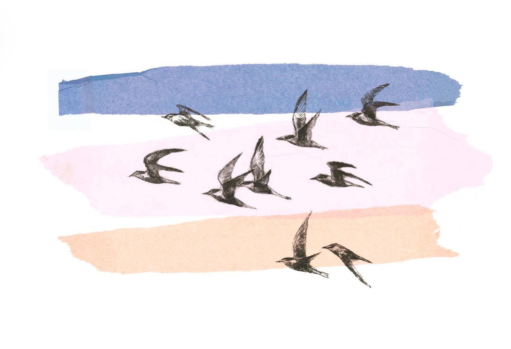 Terns at Dusk greetings card