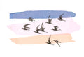 Terns at Dusk greetings card