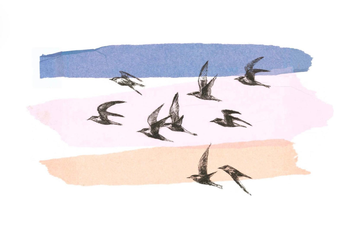 Terns at Dusk greetings card
