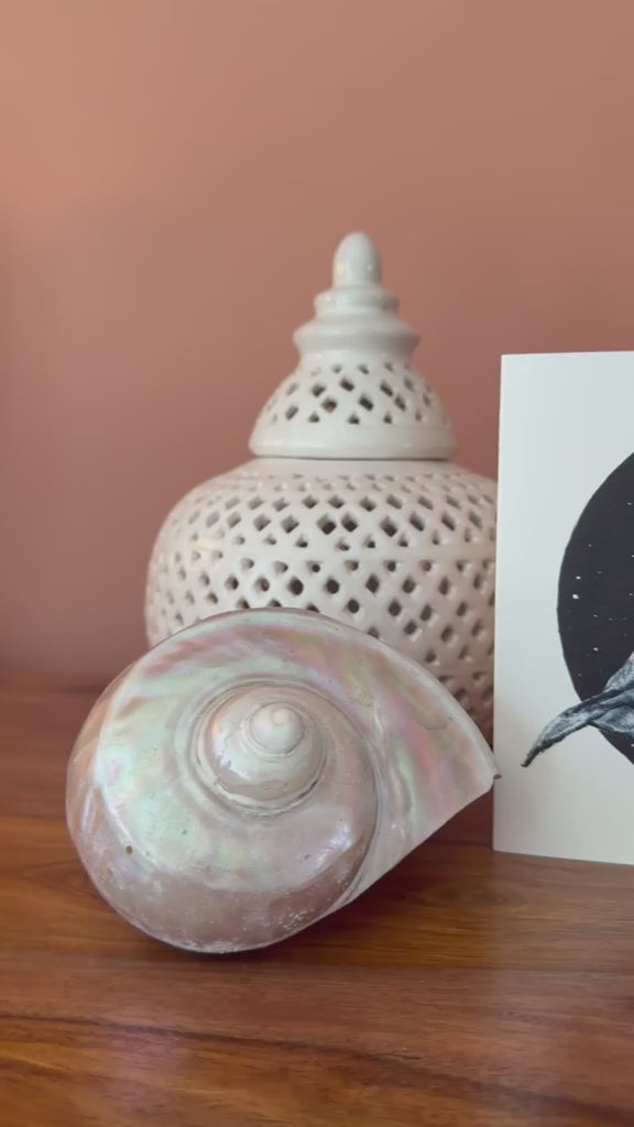 Humpback whale (Megaptera novaeangliae) - Greetings Card