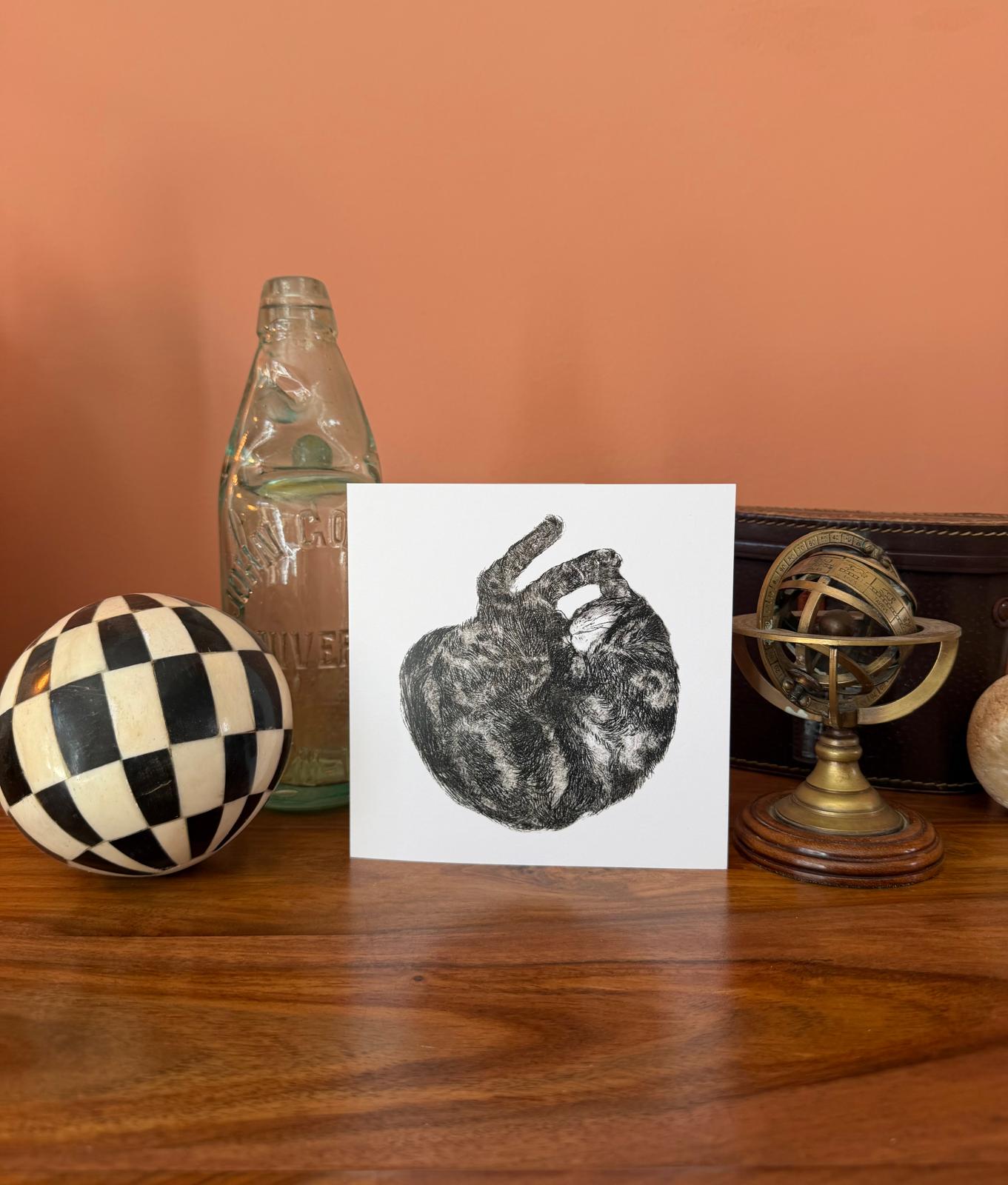Rumi sleeping (cat) - Greetings Card